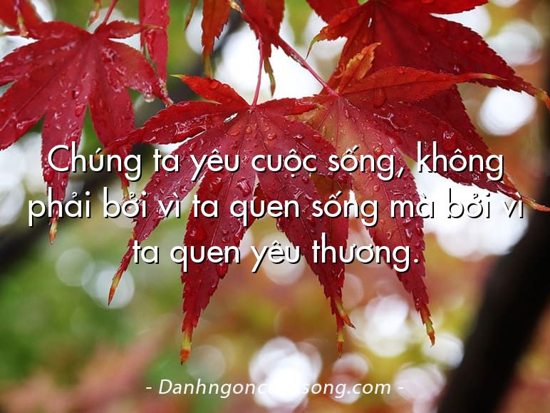 Chúng ta yêu cuộc sống, không phải bởi vì ta quen sống mà bởi vì ta quen yêu thương.