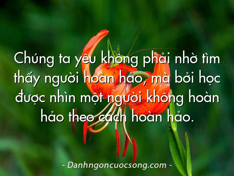 Chúng ta yêu không phải nhờ tìm thấy người hoàn hảo, mà bởi học được nhìn một người không hoàn hảo theo cách hoàn hảo.