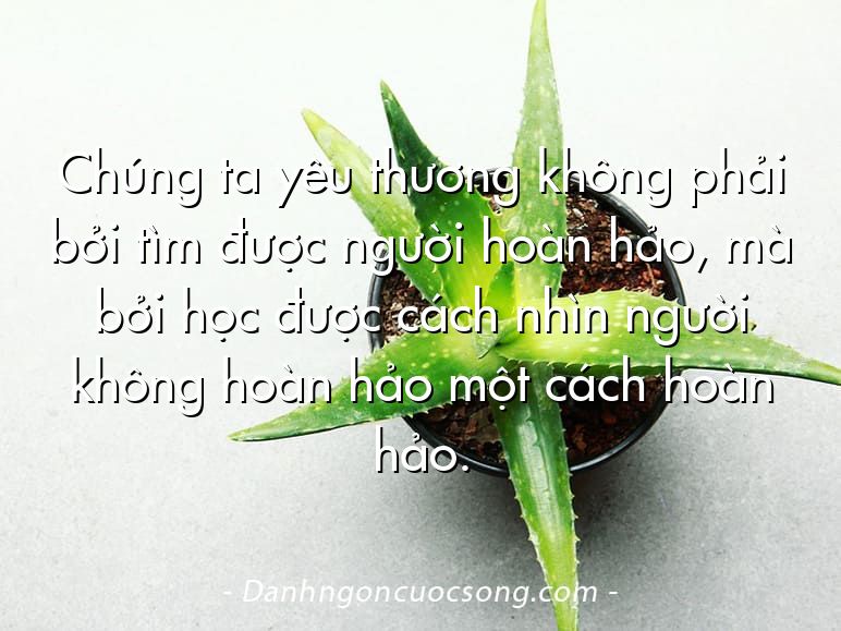Chúng ta yêu thương không phải bởi tìm được người hoàn hảo, mà bởi học được cách nhìn người không hoàn hảo một cách hoàn hảo.