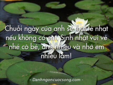 Chuỗi ngày của anh sẽ thật tẻ nhạt nếu không có em. Sinh nhật vui vẻ nhé cô bé, anh nhiều và nhớ em nhiều lắm!