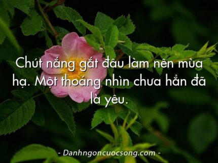 Chút nắng gắt đâu làm nên mùa hạ. Một thoáng nhìn chưa hẳn đã là yêu.
