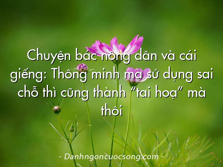 Chuyện bác nông dân và cái giếng: Thông minh mà sử dụng sai chỗ thì cũng thành “tai hoạ” mà thôi