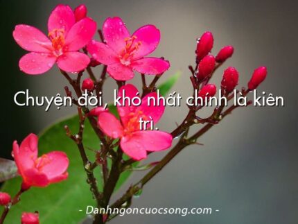 Chuyện đời, khó nhất chính là kiên trì.