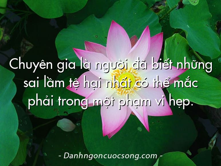 Chuyên gia là người đã biết những sai lầm tệ hại nhất có thể mắc phải trong một phạm vi hẹp.