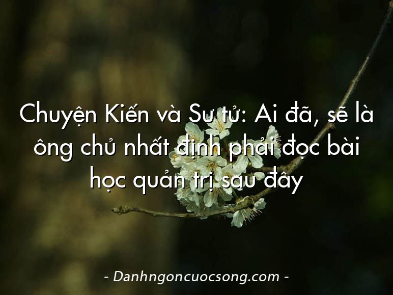 Chuyện Kiến và Sư tử: Ai đã, sẽ là ông chủ nhất định phải đọc bài học quản trị sau đây