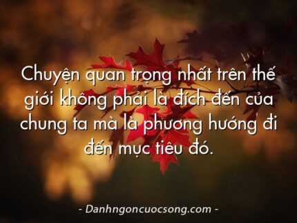 Chuyện quan trọng nhất trên thế giới không phải là đích đến của chung ta mà là phương hướng đi đến mục tiêu đó.