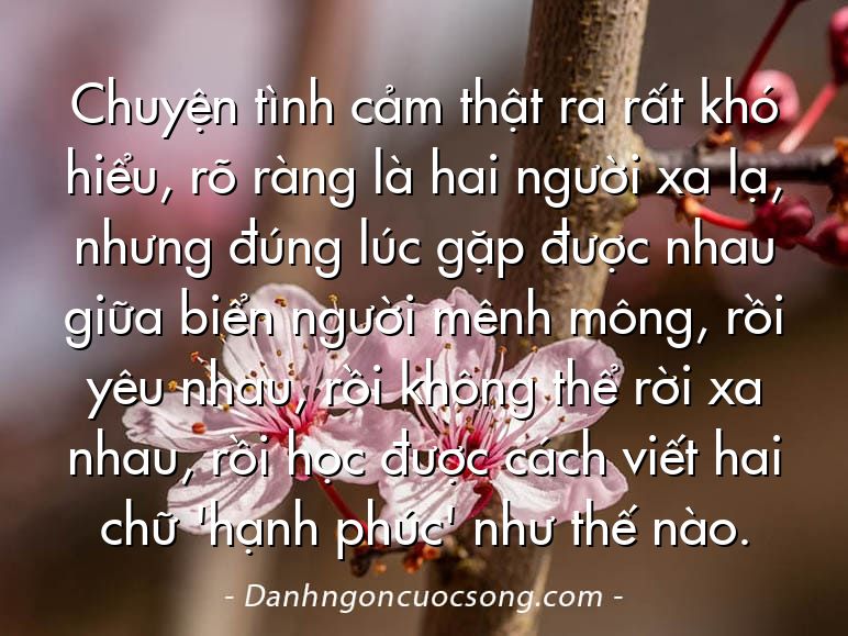 Chuyện tình cảm thật ra rất khó hiểu, rõ ràng là hai người xa lạ, nhưng đúng lúc gặp được nhau giữa biển người mênh mông, rồi yêu nhau, rồi không thể rời xa nhau, rồi học được cách viết hai chữ 'hạnh phúc' như thế nào.