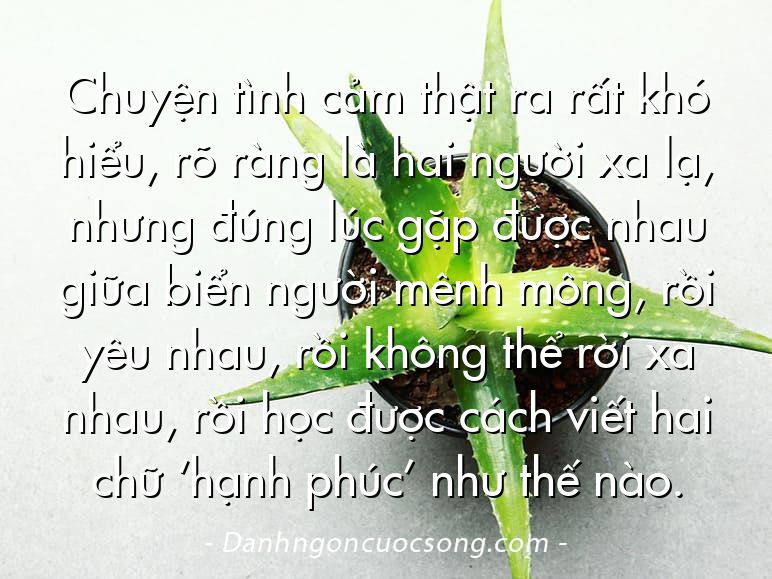 Chuyện tình cảm thật ra rất khó hiểu, rõ ràng là hai người xa lạ, nhưng đúng lúc gặp được nhau giữa biển người mênh mông, rồi yêu nhau, rồi không thể rời xa nhau, rồi học được cách viết hai chữ ‘hạnh phúc’ như thế nào.