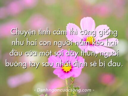 Chuyện tình cảm thì cũng giống như hai con người nắm kéo hai đầu của một sợi dây thun, người buông tay sau nhất định sẽ bị đau.