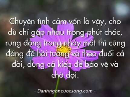 Chuyện tình cảm vốn là vậy, cho dù chỉ gặp nhau trong phút chốc, rung động trong nháy mắt thì cũng đáng để hồi tưởng và theo đuổi cả đời, dùng cả kiếp để bảo vệ và chờ đợi.