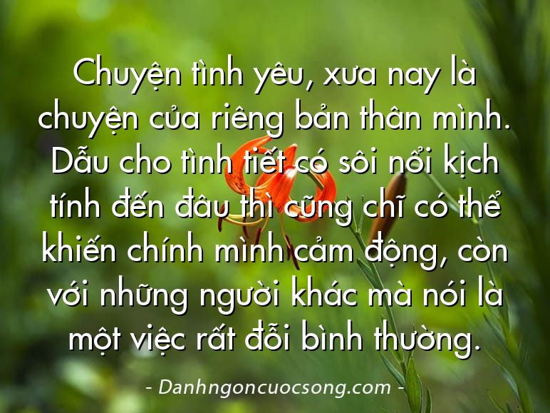 Chuyện tình yêu, xưa nay là chuyện của riêng bản thân mình. Dẫu cho tình tiết có sôi nổi kịch tính đến đâu thì cũng chĩ có thể khiến chính mình cảm động, còn với những người khác mà nói là một việc rất đỗi bình thường.