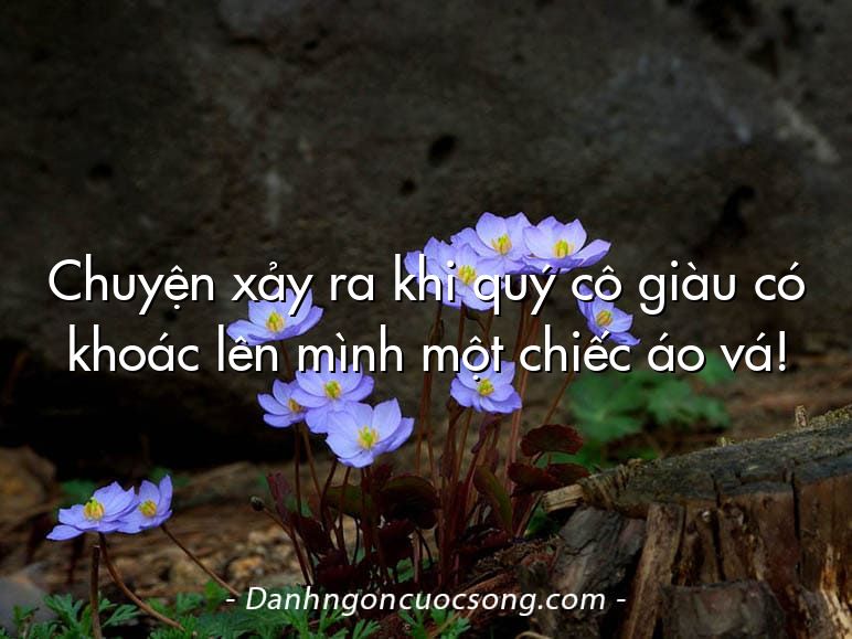 Chuyện xảy ra khi quý cô giàu có khoác lên mình một chiếc áo vá!
