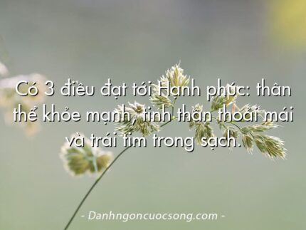 Có 3 điều đạt tới Hạnh phúc: thân thể khỏe mạnh, tinh thần thoải mái và trái tim trong sạch.