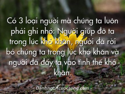 Có 3 loại người mà chúng ta luôn phải ghi nhớ: Người giúp đỡ ta trong lúc khó khăn, người đã rời bỏ chúng ta trong lúc khó khăn và người đã đẩy ta vào tình thế khó khăn.