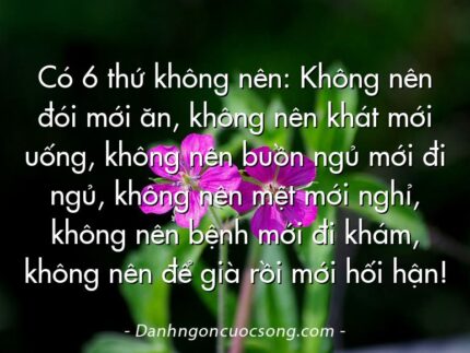 Có 6 thứ không nên: Không nên đói mới ăn, không nên khát mới uống, không nên buồn ngủ mới đi ngủ, không nên mệt mới nghỉ, không nên bệnh mới đi khám, không nên để già rồi mới hối hận!