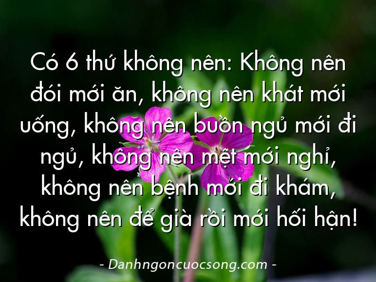 Có 6 thứ không nên: Không nên đói mới ăn, không nên khát mới uống, không nên buồn ngủ mới đi ngủ, không nên mệt mới nghỉ, không nên bệnh mới đi khám, không nên để già rồi mới hối hận!