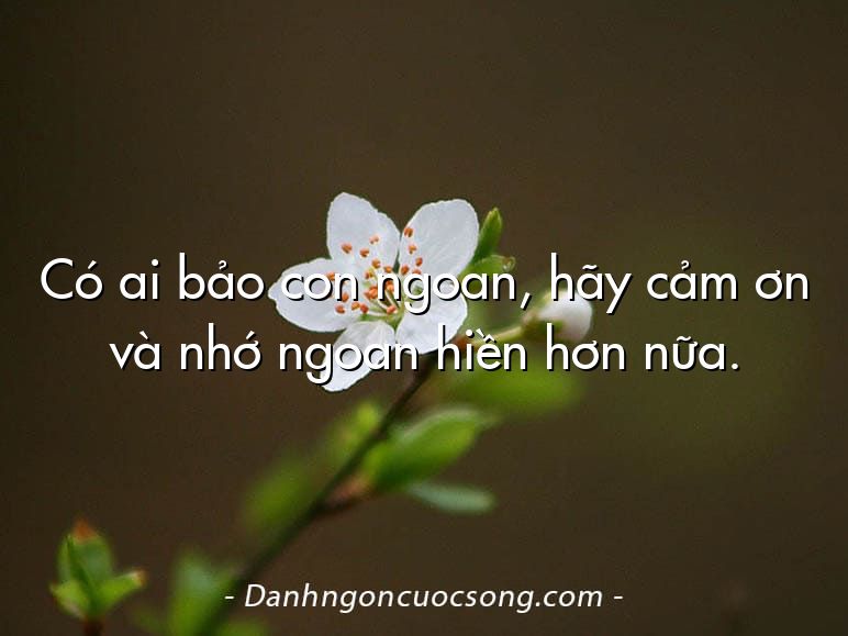 Có ai bảo con ngoan, hãy cảm ơn và nhớ ngoan hiền hơn nữa.