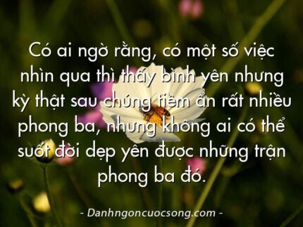 Có ai ngờ rằng, có một số việc nhìn qua thì thấy bình yên nhưng kỳ thật sau chúng tiềm ẩn rất nhiều phong ba, nhưng không ai có thể suốt đời dẹp yên được những trận phong ba đó.