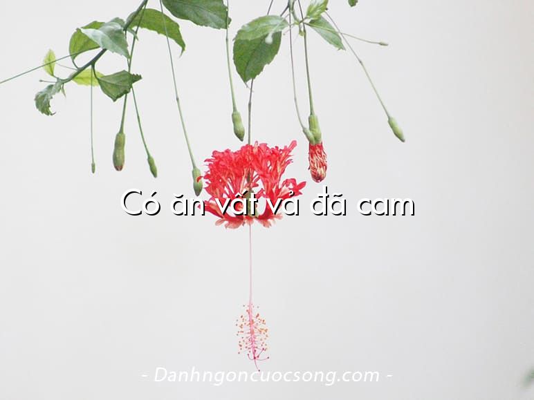 Có ăn vất vả đã cam