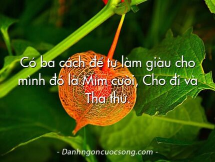 Có ba cách để tự làm giàu cho mình đó là Mỉm cười, Cho đi và Tha thứ.