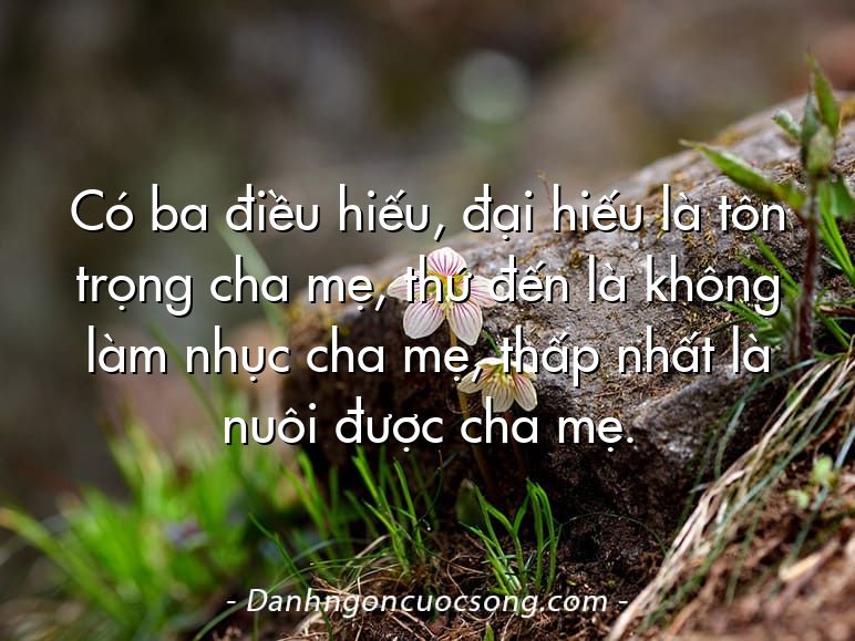 Có ba điều hiếu, đại hiếu là tôn trọng cha mẹ, thứ đến là không làm nhục cha mẹ, thấp nhất là nuôi được cha mẹ.