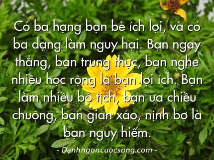 Có ba hạng bạn bè ích lợi, và có ba dạng làm nguy hại. Bạn ngay thẳng, bạn trung thực, bạn nghe nhiều học rộng là bạn lợi ích. Bạn làm nhiều bộ tịch, bạn ưa chiều chuộng, bạn gian xảo, nịnh bợ là bạn nguy hiểm.