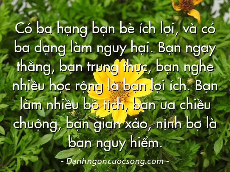 Có ba hạng bạn bè ích lợi, và có ba dạng làm nguy hại. Bạn ngay thẳng, bạn trung thực, bạn nghe nhiều học rộng là bạn lợi ích. Bạn làm nhiều bộ tịch, bạn ưa chiều chuộng, bạn gian xảo, nịnh bợ là bạn nguy hiểm.