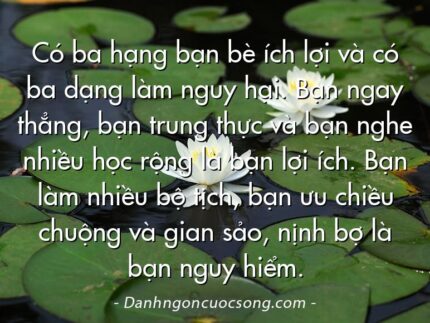 Có ba hạng bạn bè ích lợi và có ba dạng làm nguy hại. Bạn ngay thẳng, bạn trung thực và bạn nghe nhiều học rộng là bạn lợi ích. Bạn làm nhiều bộ tịch, bạn ưu chiều chuộng và gian sảo, nịnh bợ là bạn nguy hiểm.