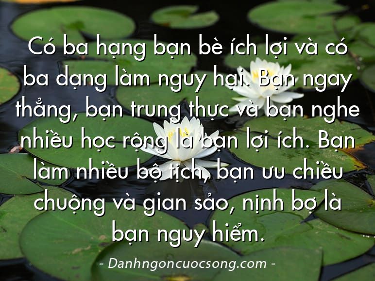 Có ba hạng bạn bè ích lợi và có ba dạng làm nguy hại. Bạn ngay thẳng, bạn trung thực và bạn nghe nhiều học rộng là bạn lợi ích. Bạn làm nhiều bộ tịch, bạn ưu chiều chuộng và gian sảo, nịnh bợ là bạn nguy hiểm.