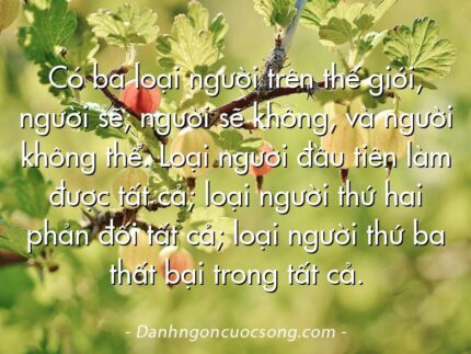 Có ba loại người trên thế giới, người sẽ, người sẽ không, và người không thể. Loại người đầu tiên làm được tất cả; loại người thứ hai phản đối tất cả; loại người thứ ba thất bại trong tất cả.