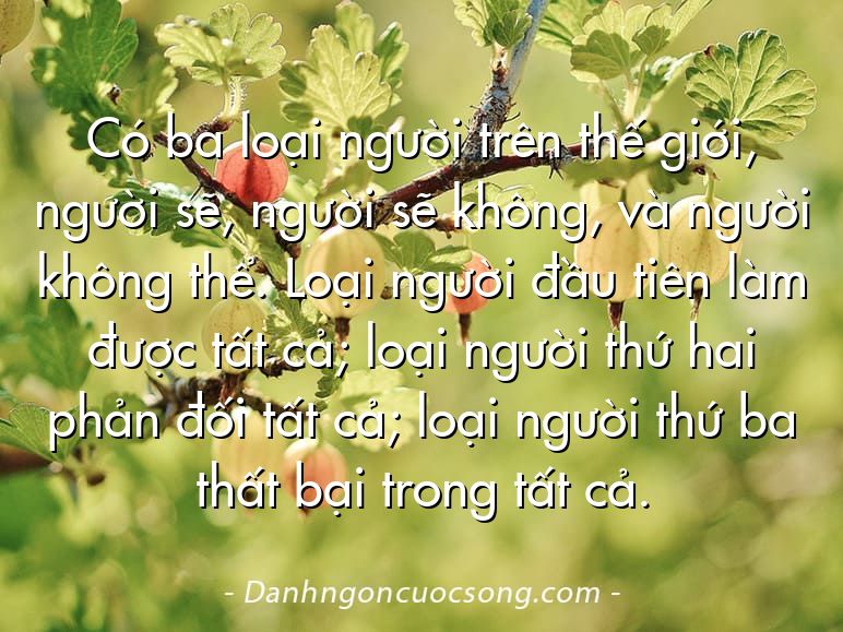 Có ba loại người trên thế giới, người sẽ, người sẽ không, và người không thể. Loại người đầu tiên làm được tất cả; loại người thứ hai phản đối tất cả; loại người thứ ba thất bại trong tất cả.
