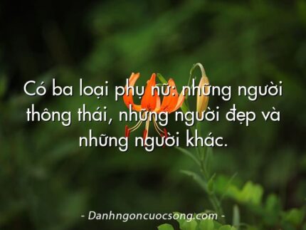 Có ba loại phụ nữ: những người thông thái, những người đẹp và những người khác.