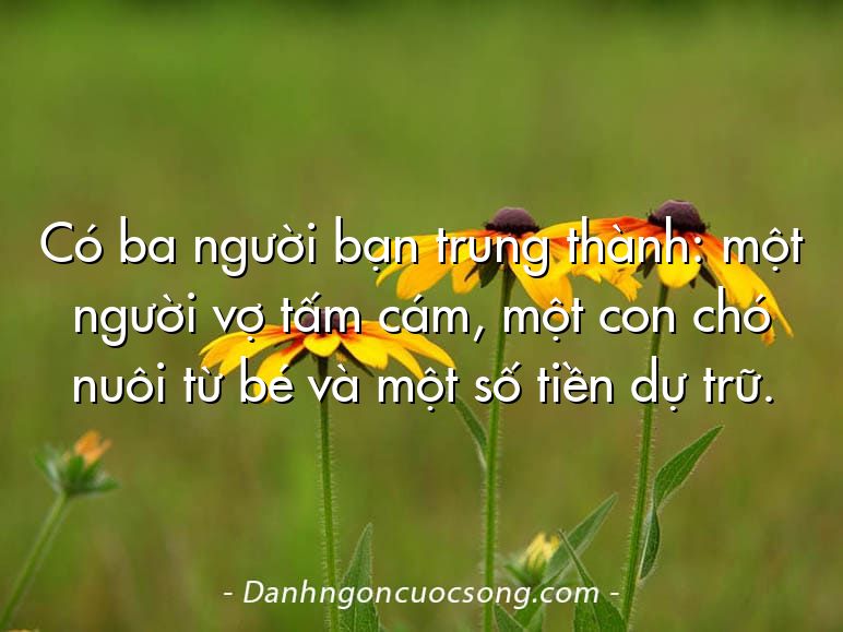 Có ba người bạn trung thành: một người vợ tấm cám, một con chó nuôi từ bé và một số tiền dự trữ.