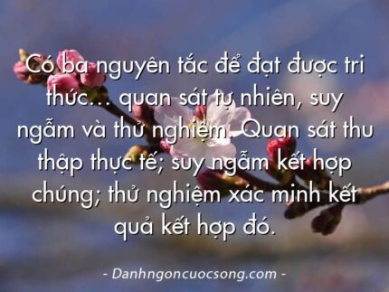 Có ba nguyên tắc để đạt được tri thức… quan sát tự nhiên, suy ngẫm và thử nghiệm. Quan sát thu thập thực tế; suy ngẫm kết hợp chúng; thử nghiệm xác minh kết quả kết hợp đó.