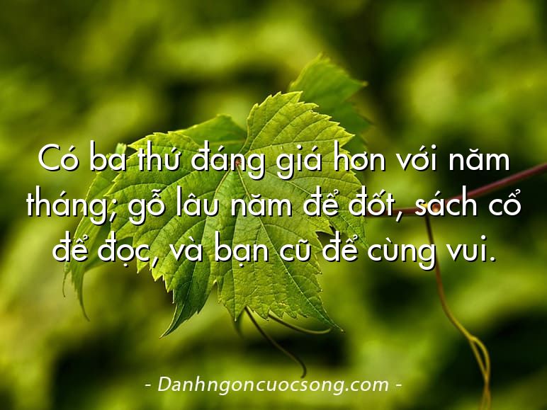Có ba thứ đáng giá hơn với năm tháng; gỗ lâu năm để đốt, sách cổ để đọc, và bạn cũ để cùng vui.