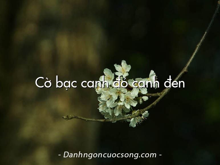 Cờ bạc canh đỏ canh đen