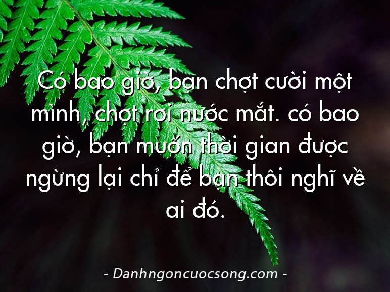 Có bao giờ, bạn chợt cười một mình, chợt rơi nước mắt. có bao giờ, bạn muốn thời gian được ngừng lại chỉ để bạn thôi nghĩ về ai đó.