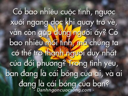 Có bao nhiêu cuộc tình, ngược xuôi ngang dọc khi quay trở về, vẫn còn gặp đúng người ấy? Có bao nhiêu mối tình, mà chúng ta có thể trở thành người duy nhất của đối phương? Trong tình yêu, bạn đang là cái bóng của ai, và ai đang là cái bóng của bạn?