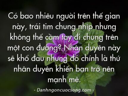 Có bao nhiêu người trên thế gian này, trái tim chung nhịp nhưng không thể cầm tay đi chung trên một con đường? Nhân duyên này sẽ khổ đau nhưng đó chính là thứ nhân duyên khiến bạn trở nên mạnh mẽ.