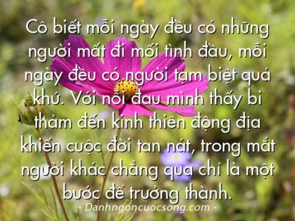 Cô biết mỗi ngày đều có những người mất đi mối tình đầu, mỗi ngày đều có người tạm biệt quá khứ. Với nỗi đau mình thấy bi thảm đến kinh thiên động địa khiến cuộc đời tan nát, trong mắt người khác chẳng qua chỉ là một bước để trưởng thành.