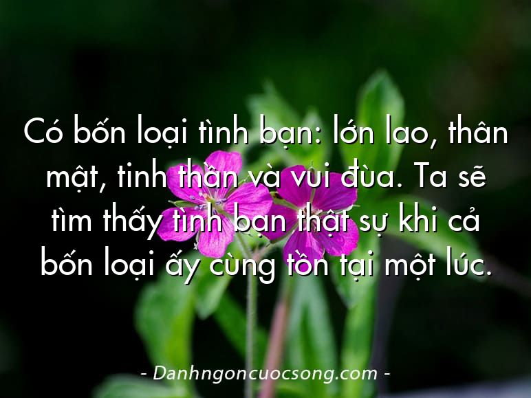 Có bốn loại tình bạn: lớn lao, thân mật, tinh thần và vui đùa. Ta sẽ tìm thấy tình bạn thật sự khi cả bốn loại ấy cùng tồn tại một lúc.