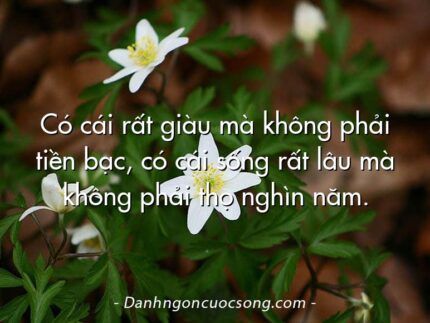 Có cái rất giàu mà không phải tiền bạc, có cái sống rất lâu mà không phải thọ nghìn năm.