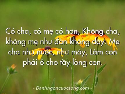 Có cha, có mẹ có hơn, Không cha, không mẹ như đàn không dây. Mẹ cha như nước, như mây, Làm con phải ở cho tầy lòng con.