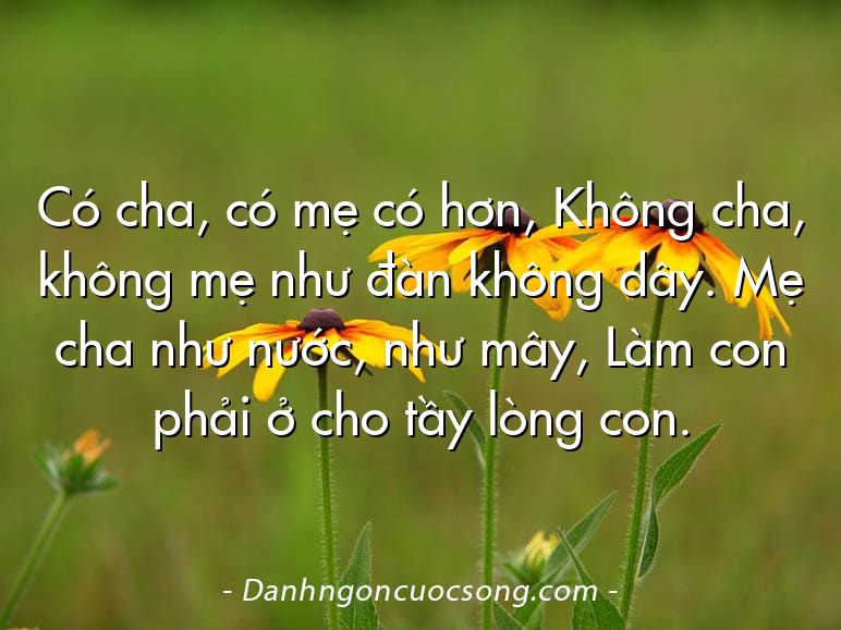 Có cha, có mẹ có hơn, Không cha, không mẹ như đàn không dây. Mẹ cha như nước, như mây, Làm con phải ở cho tầy lòng con.