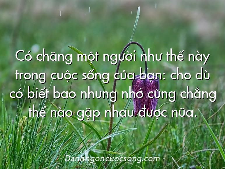 Có chăng một người như thế này trong cuộc sống của bạn: cho dù có biết bao nhung nhớ cũng chẳng thể nào gặp nhau được nữa.