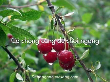 Có chồng càng dễ chơi ngang