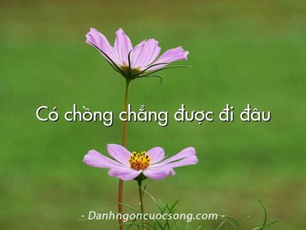 Có chồng chẳng được đi đâu