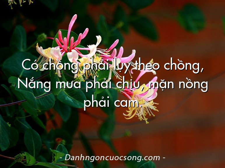Có chồng phải lụy theo chồng, Nắng mưa phải chịu, mặn nồng phải cam.