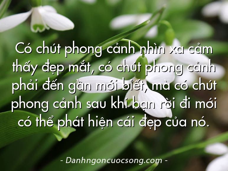 Có chút phong cảnh nhìn xa cảm thấy đẹp mắt, có chút phong cảnh phải đến gần mới biết, mà có chút phong cảnh sau khi bạn rời đi mới có thể phát hiện cái đẹp của nó.