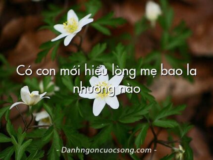 Có con mới hiểu lòng mẹ bao la nhường nào